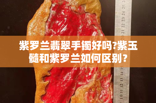 紫罗兰翡翠手镯好吗?紫玉髓和紫罗兰如何区别？