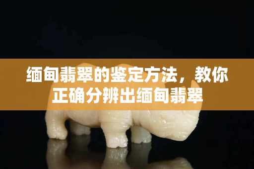 缅甸翡翠的鉴定方法，教你正确分辨出缅甸翡翠