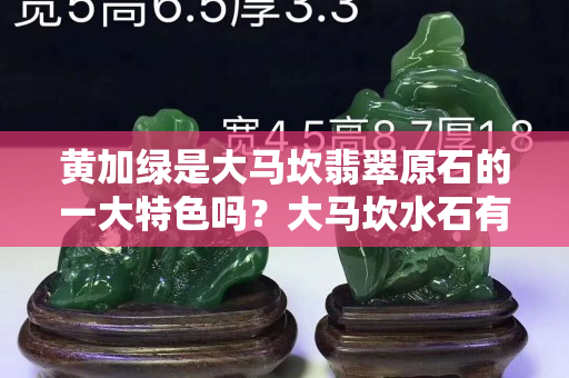 黄加绿是大马坎翡翠原石的一大特色吗？大马坎水石有什么特点？