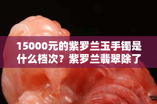 15000元的紫罗兰玉手镯是什么档次？紫罗兰翡翠除了颜色之外种水也很重要
