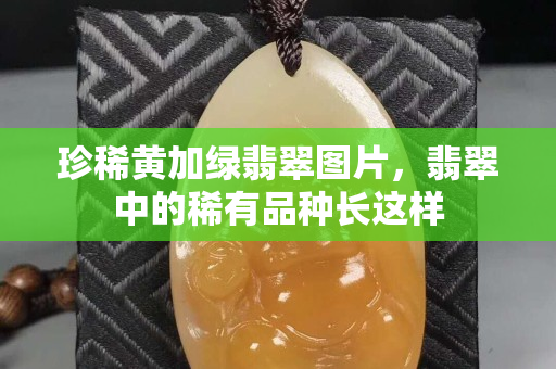 珍稀黄加绿翡翠图片，翡翠中的稀有品种长这样