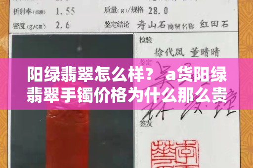 阳绿翡翠怎么样？ a货阳绿翡翠手镯价格为什么那么贵？