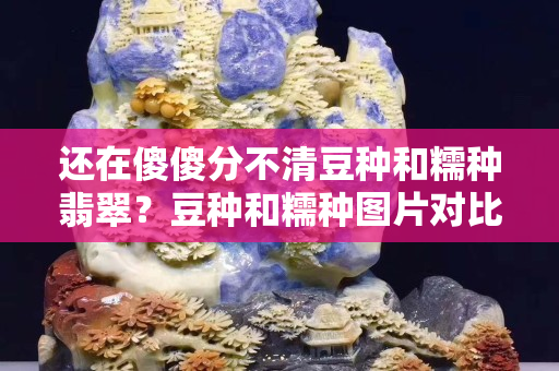还在傻傻分不清豆种和糯种翡翠？豆种和糯种图片对比一下就一目了然