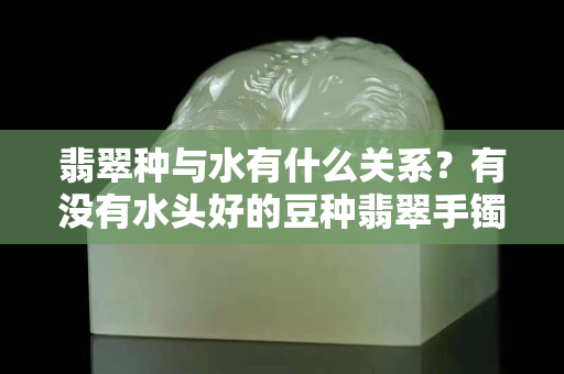 翡翠种与水有什么关系？有没有水头好的豆种翡翠手镯？