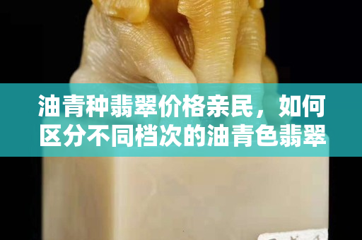 油青种翡翠价格亲民，如何区分不同档次的油青色翡翠手镯价格？