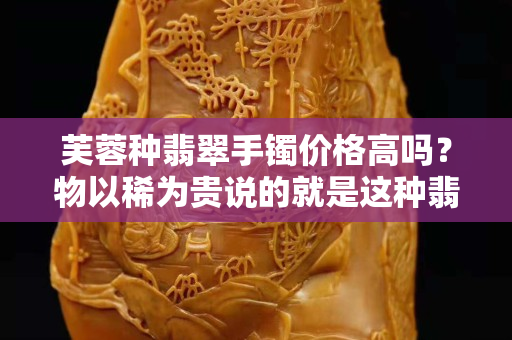 芙蓉种翡翠手镯价格高吗？物以稀为贵说的就是这种翡翠