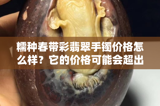 糯种春带彩翡翠手镯价格怎么样？它的价格可能会超出你的想象