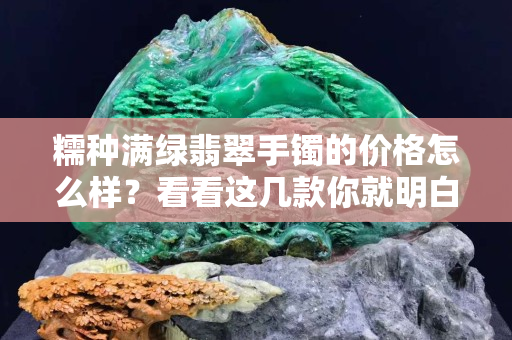 糯种满绿翡翠手镯的价格怎么样？看看这几款你就明白了