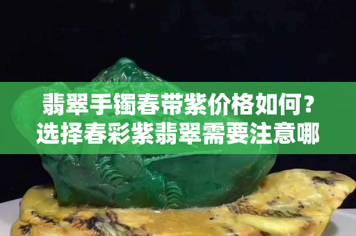 翡翠手镯春带紫价格如何？选择春彩紫翡翠需要注意哪些？