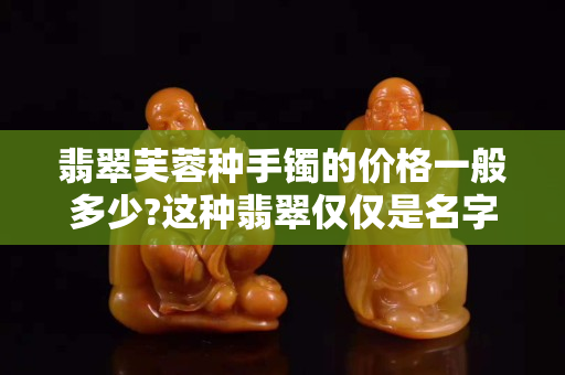 翡翠芙蓉种手镯的价格一般多少?这种翡翠仅仅是名字好听吗？
