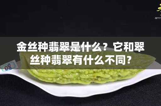 金丝种翡翠是什么？它和翠丝种翡翠有什么不同？