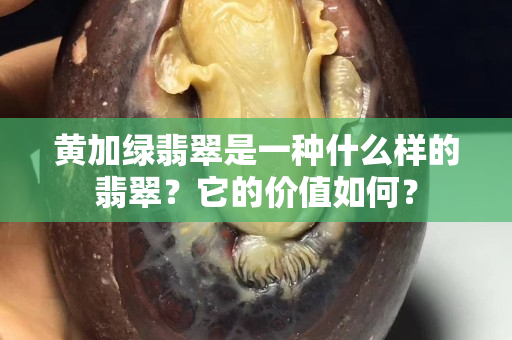 黄加绿翡翠是一种什么样的翡翠？它的价值如何？