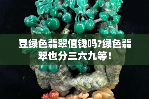 豆绿色翡翠值钱吗?绿色翡翠也分三六九等！