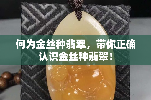 何为金丝种翡翠，带你正确认识金丝种翡翠！