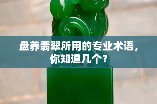 盘养翡翠所用的专业术语，你知道几个？