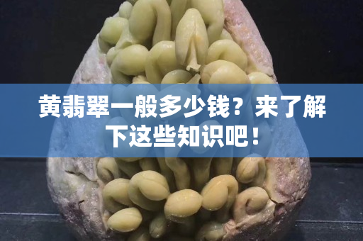黄翡翠一般多少钱？来了解下这些知识吧！