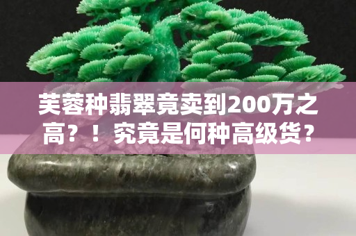 芙蓉种翡翠竟卖到200万之高？！究竟是何种高级货？