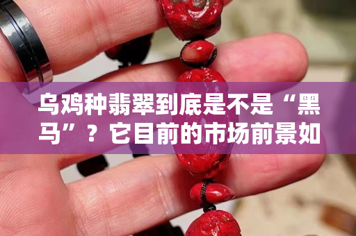 乌鸡种翡翠到底是不是“黑马”？它目前的市场前景如何呢？