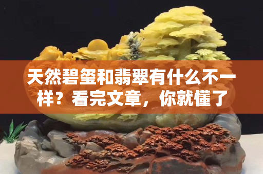 天然碧玺和翡翠有什么不一样？看完文章，你就懂了