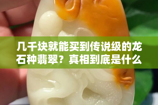 几千块就能买到传说级的龙石种翡翠？真相到底是什么……
