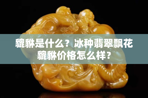 貔貅是什么？冰种翡翠飘花貔貅价格怎么样？