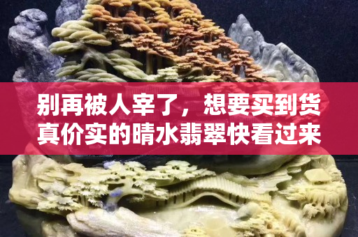 别再被人宰了，想要买到货真价实的晴水翡翠快看过来！