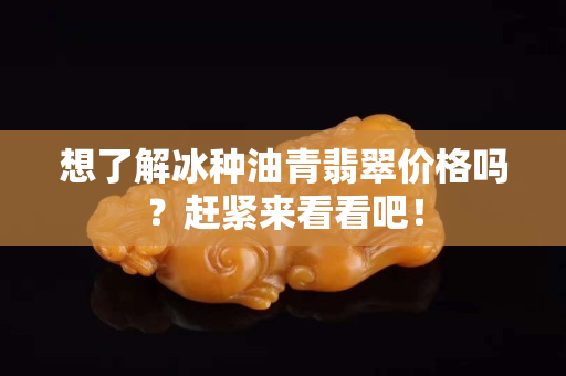 想了解冰种油青翡翠价格吗？赶紧来看看吧！