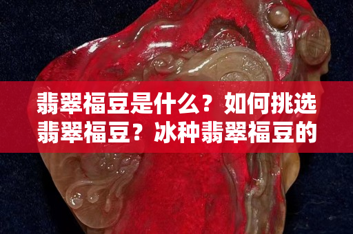 翡翠福豆是什么？如何挑选翡翠福豆？冰种翡翠福豆的价格怎么样？