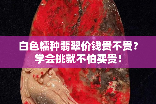 白色糯种翡翠价钱贵不贵？学会挑就不怕买贵！