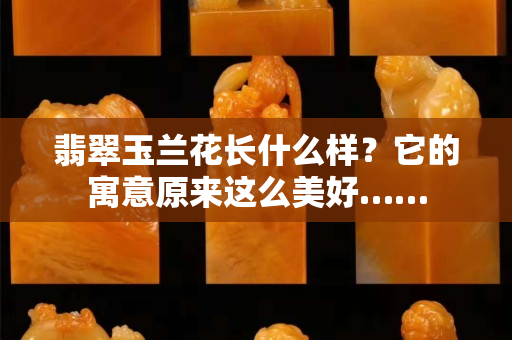 翡翠玉兰花长什么样？它的寓意原来这么美好……