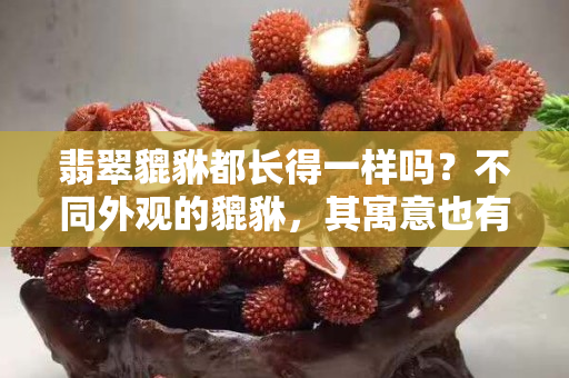 翡翠貔貅都长得一样吗？不同外观的貔貅，其寓意也有所不同！