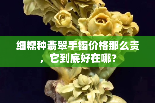 细糯种翡翠手镯价格那么贵，它到底好在哪？