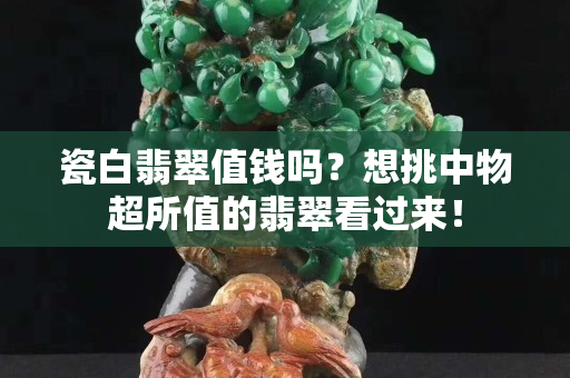 瓷白翡翠值钱吗？想挑中物超所值的翡翠看过来！