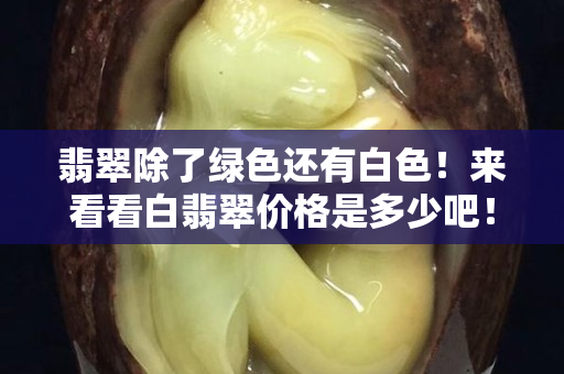 翡翠除了绿色还有白色！来看看白翡翠价格是多少吧！