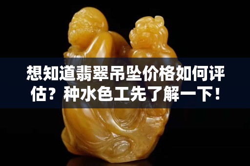 想知道翡翠吊坠价格如何评估？种水色工先了解一下！