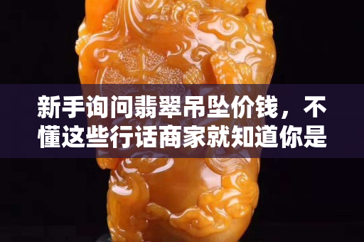 新手询问翡翠吊坠价钱，不懂这些行话商家就知道你是小白了！