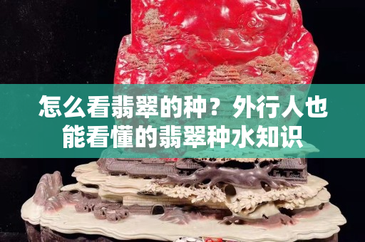 怎么看翡翠的种？外行人也能看懂的翡翠种水知识