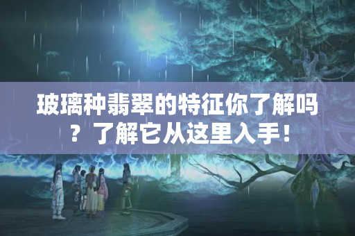玻璃种翡翠的特征你了解吗？了解它从这里入手！