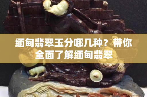 缅甸翡翠玉分哪几种？带你全面了解缅甸翡翠