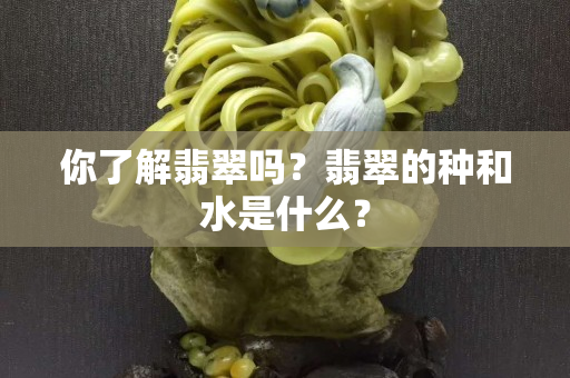 你了解翡翠吗？翡翠的种和水是什么？