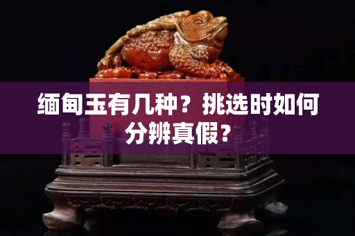 缅甸玉有几种？挑选时如何分辨真假？