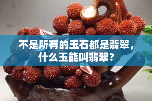 不是所有的玉石都是翡翠，什么玉能叫翡翠？