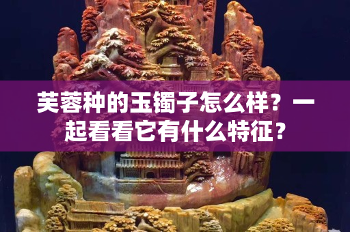 芙蓉种的玉镯子怎么样？一起看看它有什么特征？