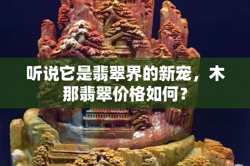 听说它是翡翠界的新宠，木那翡翠价格如何？