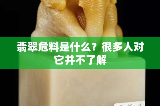 翡翠危料是什么？很多人对它并不了解
