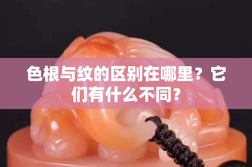 色根与纹的区别在哪里？它们有什么不同？