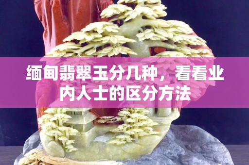 缅甸翡翠玉分几种，看看业内人士的区分方法