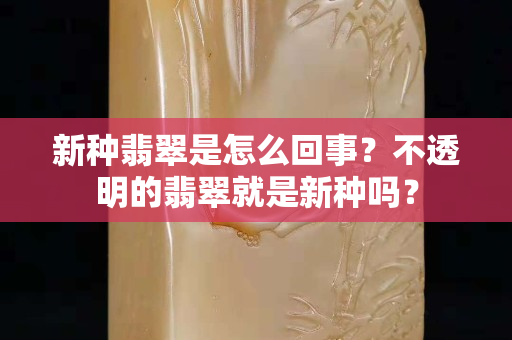新种翡翠是怎么回事？不透明的翡翠就是新种吗？