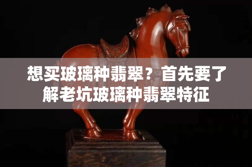 想买玻璃种翡翠？首先要了解老坑玻璃种翡翠特征