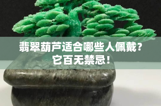 翡翠葫芦适合哪些人佩戴？它百无禁忌！